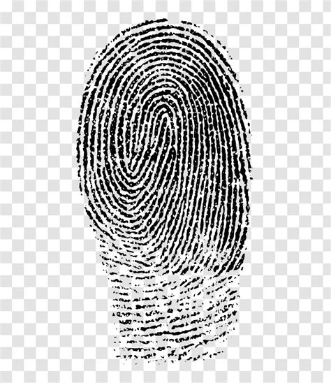 Fingerprint Clip Art Line Forensic Science Transparent Png