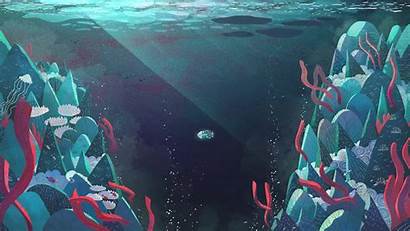 Fish Sleepy Underwater Ocean Desktop Wallpapers Windows