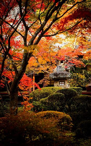 Jeffrey Friedls Blog This Seasons First Fall Foliage Outing Kyoto