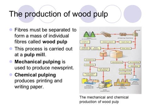 Whats The Type And Process Of Pulp