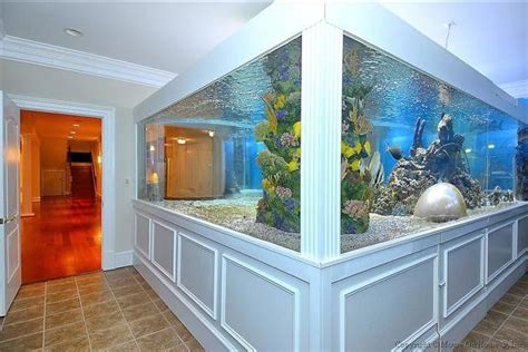 10 Homes With Their Own Shark Tanks Digital Trends Fish Tank Design