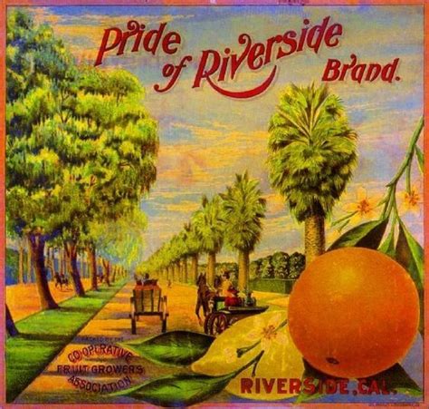 Pride Of Riverside Brand Orange Fruit Crate Label Riverside California