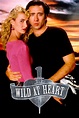 Wild at Heart – The Brattle