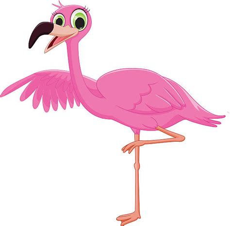 Cartoon Of Pink Flamingo Stock Photos Pictures And Royalty Free Images