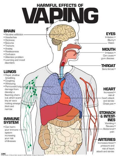 Harmful Effects Of Vaping Poster Nimco Inc