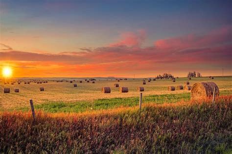 🇨🇦 Prairie Sunset Alberta By Alexander Hill 🌅🌾 Landscape Scenery