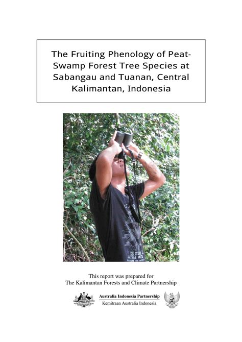 Pdf The Fruiting Phenology Of Peat Swamp Forest Tree Species At Sabangau And Tuanan Central