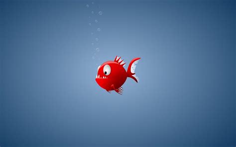 Red Fish Hd Wallpaper Hd Latest Wallpapers