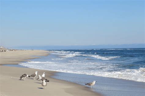 15 Best East Coast Beaches Beachfix