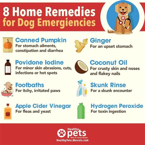 Pin By Patricia Hensley On Pet Picsclothes Dog Itchy Skin Remedy