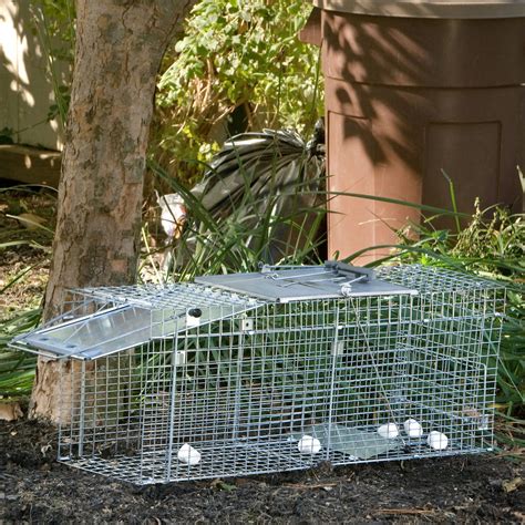 Nla Havahart Collapsible Easy Set 1 Door Raccoon Feral Cat Trap 32