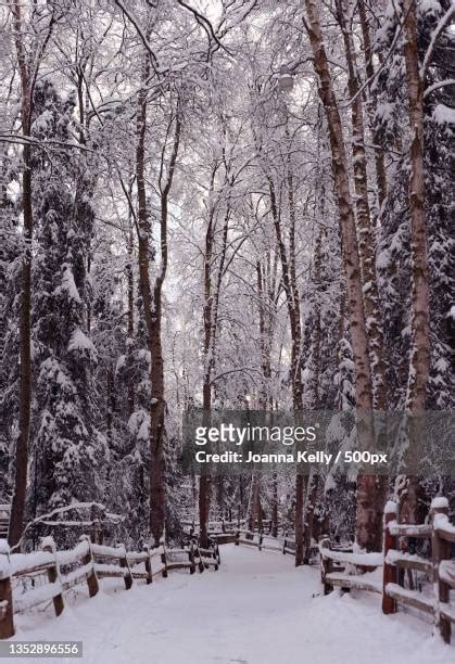 Anchorage Snowfall Photos And Premium High Res Pictures Getty Images