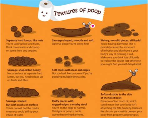 What Does Your Poop Look Like