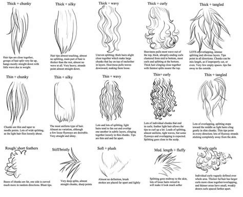 I only left the curly part of the hair to draw. Step by johnnybrous part the johnnybrous manga hair curly ...
