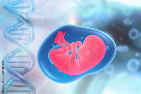 Fetus In Womb Fetus In Dna Background 3d Illustration Stock