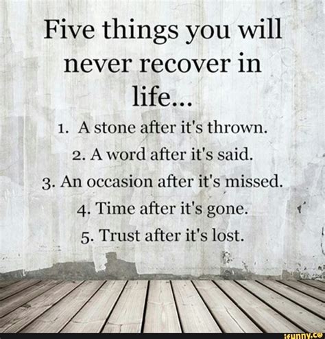 Five Things You Will Never Recover In Life 1 A Stone After Its