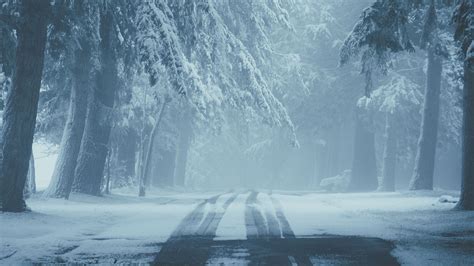 Download Wallpaper 3840x2160 Road Snow Fog Winter Trees Traces 4k