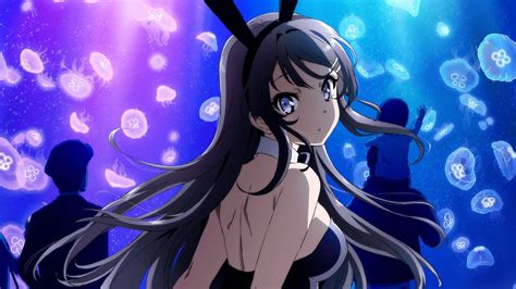 Seishun Buta Yarou Wa Bunny Girl Senpai No Yume Wo Minai Série Tv 2018