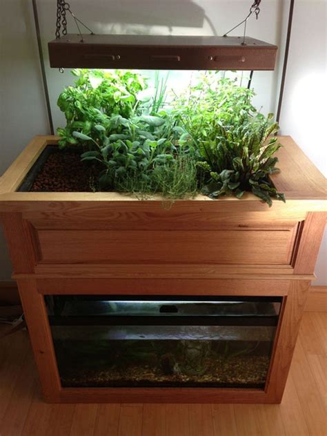 DIY Indoor Aquaponics Fish Tank Ideas 1 | Indoor aquaponics, Aquaponics