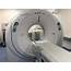 Standing Equine MRI Scanning Imaging For Horses