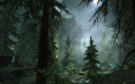 Foggy Night In Forest 4k Wallpaper Download