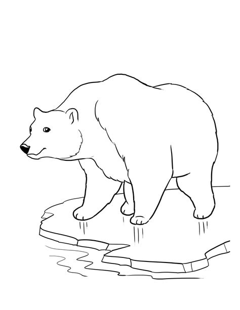 23 Realistic Black Bear Coloring Pages