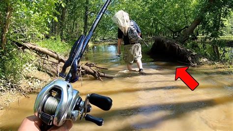 Fishing A Flooded Swamp For Frankenfish Youtube