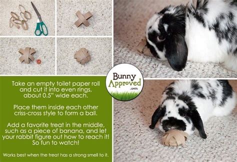 diy rabbit toys with toilet paper rolls kruwne