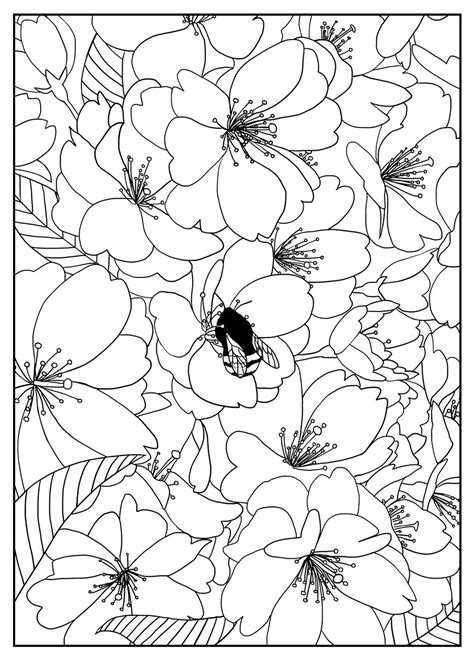 Starry Niitez Flower Pictures For Coloring Printables