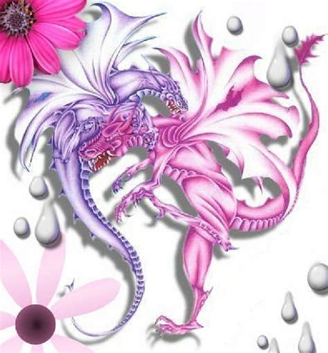 Pink And Purple Dragon Wallpapers Top Free Pink And Purple Dragon Backgrounds Wallpaperaccess