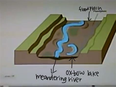 Formation Of A Floodplain Geography Showme