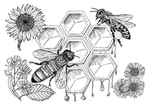 Share More Than 82 Honeycomb And Bee Tattoos Ineteachers