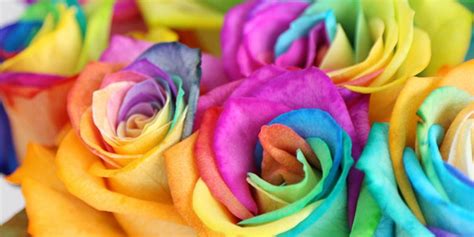 Celebrate a special occasion from a birthday to valentine's day by sending flowers. Why Rainbow Roses Are The Perfect Gift | Blossoming Gifts ...