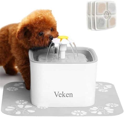 The 9 Best Dog Water Fountains To Buy In 2024 Petmag