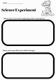 Science Experiment Observation Sheet by Jessica Daley | TpT