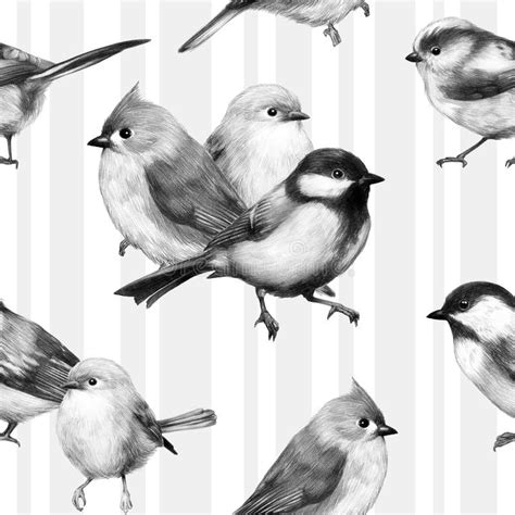 Cute Little Bird Pencil Drawing Print Illustration Groups Of Birds