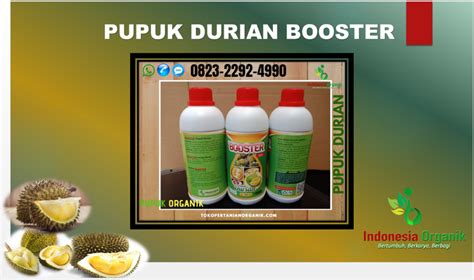 Daftar harga pohon durian musang king terbaru maret 2021. pupuk durian musang king Archives - TERBAIK-Distributor ...