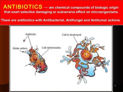 Pharmacology Of Antibiotics