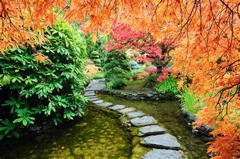 Japanese Garden 4k Ultra Hd Wallpaper Background Image