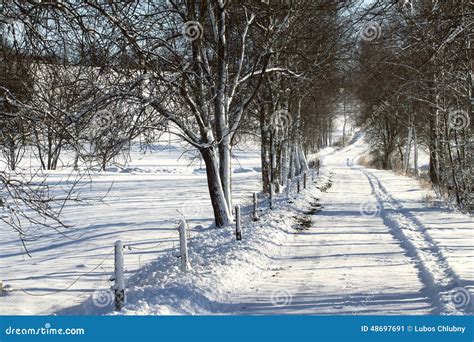 Snowy Path In Winter Stock Image Image Of Forest Snowy 48697691