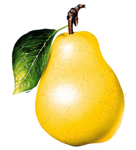 Pear Free Png Image Png Arts