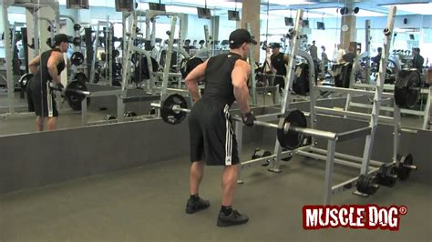 Presents Reverse Grip Bent Over Barbell Row Youtube