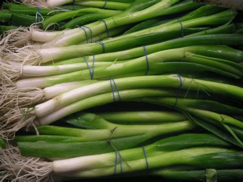 Heat and time can destroy much of the nutrients, so when it comes to using many herbs and. Chives vs Scallions vs Green Onions - Difference