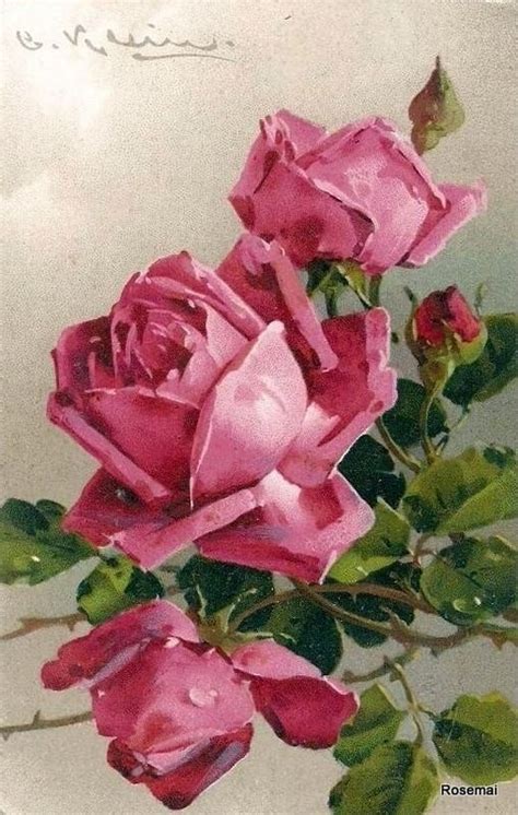 Victorian Vintage Rose Painting Rose Art Flower Art