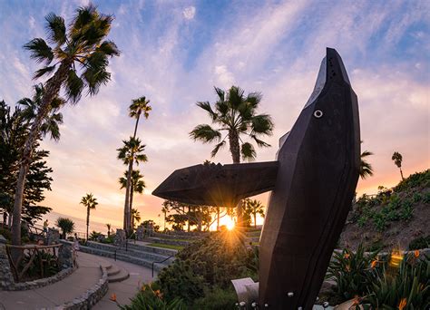 Heisler Park Laguna Beachs Crown Jewel Travel Caffeine