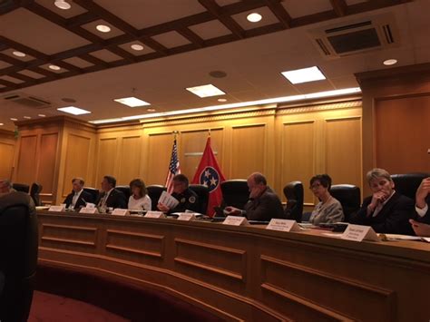 Joint Ad Hoc Tennessee Blue Ribbon Task Force On Juvenile Justice