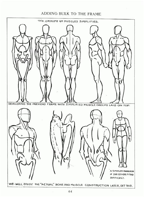 Andrew Loomis Figure Drawing For All Its Worth Human Figure Drawing