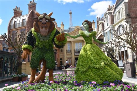 Mousesteps Belle Topiary Debuts New Look As Beauty And The Beast