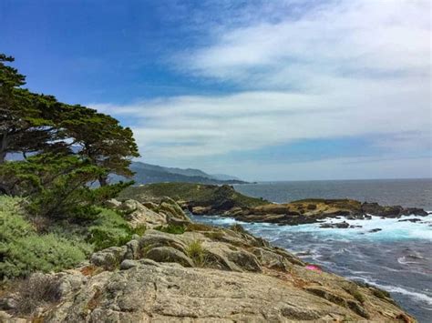 Point Lobos Hiking Top 6 Trails To Hike At The California Coastal Park