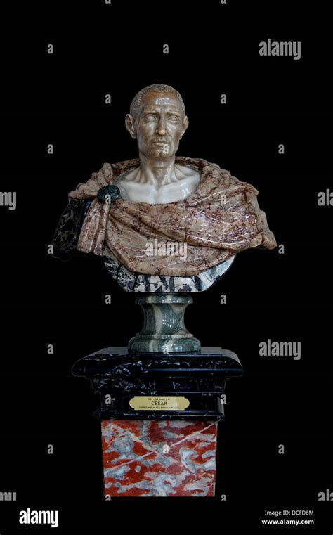 Gaius Julius Caesar Marble Bust Xviith Century Florence Italy On
